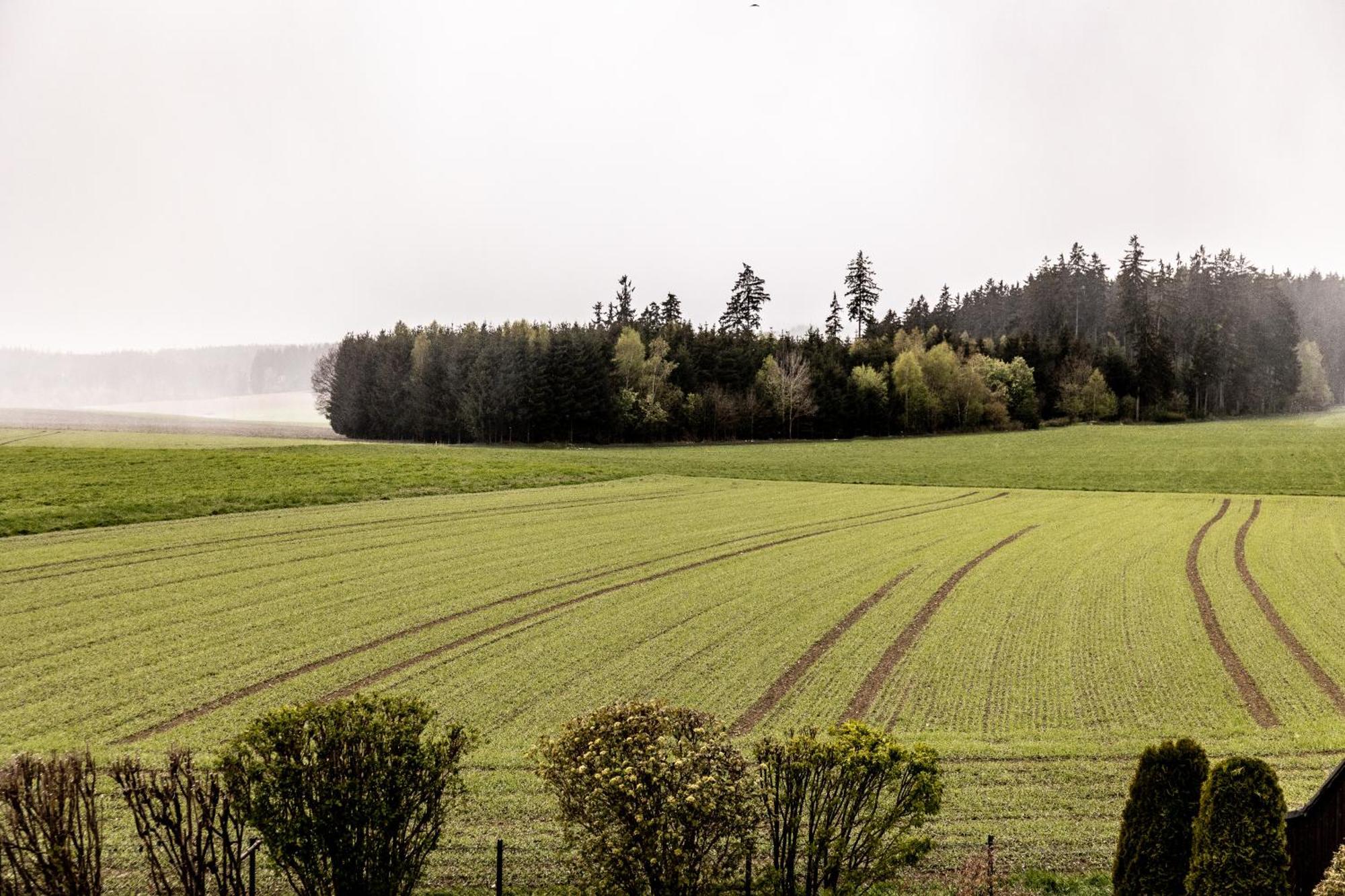 Ferienwohnung Fichtelblick Schonwald  Bagian luar foto